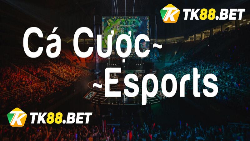 Cá độ Esport với đa dạng và phong phú bộ môn